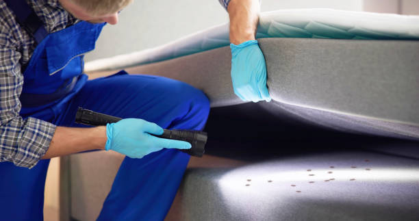 Reliable Winlock, WA Pest Control Solutions