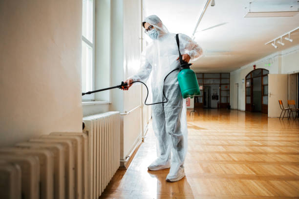 Professional Pest Control in Winlock, WA