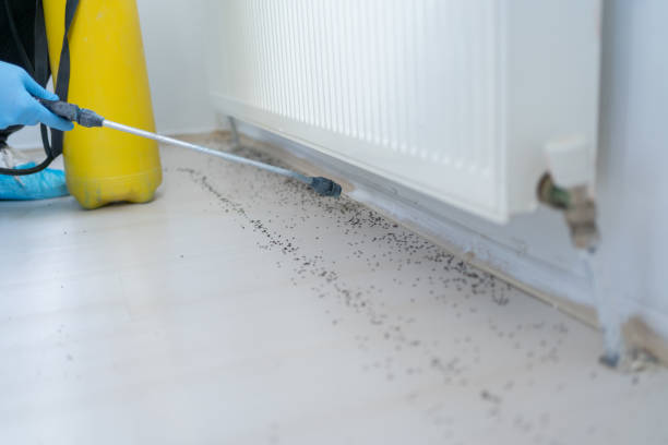 Best Pest Prevention Services  in Winlock, WA